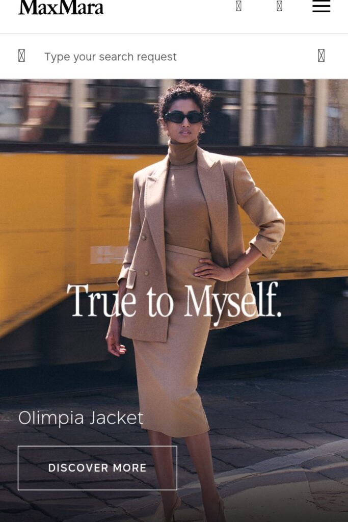 Max Mara Petite